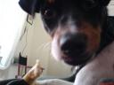 {frida2}  Et lille close up